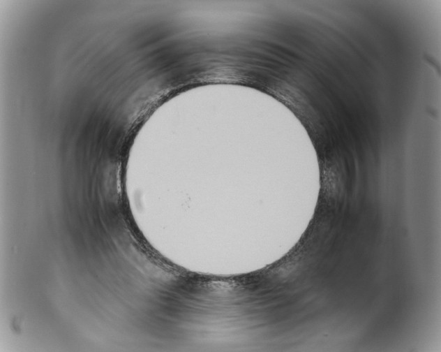 X0000099550302200806131218