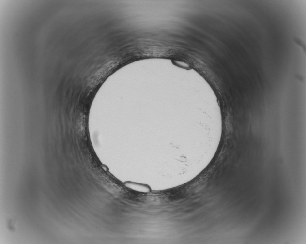 X0000099550305200806131218