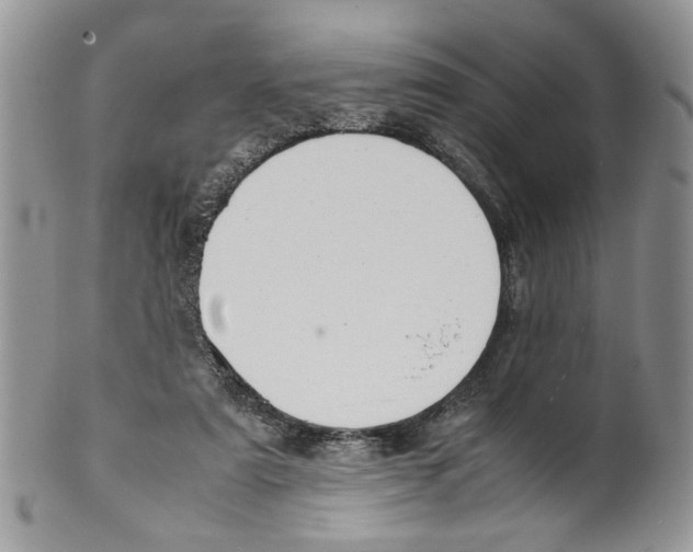 X0000099550307200806131218