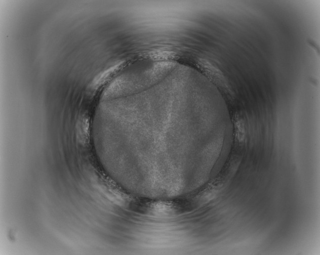 X0000099550308200806131218