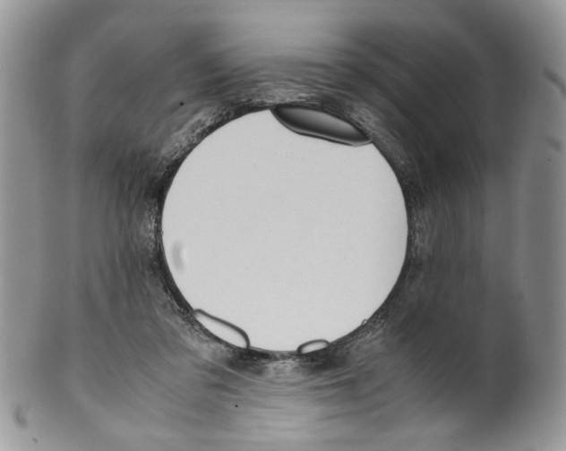 X0000099550309200806131218