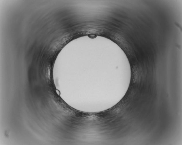 X0000099550310200806131218