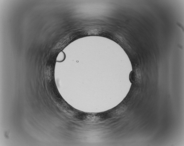 X0000099550311200806131218