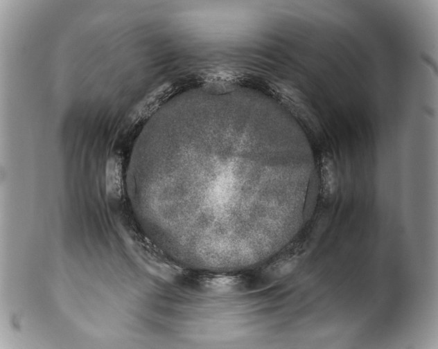 X0000099550312200806131218