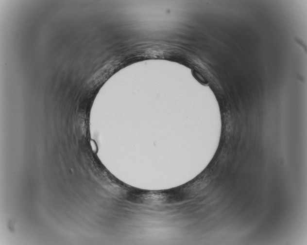 X0000099550313200806131218