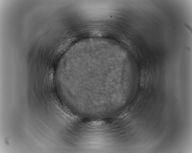 X0000099550314200806131218