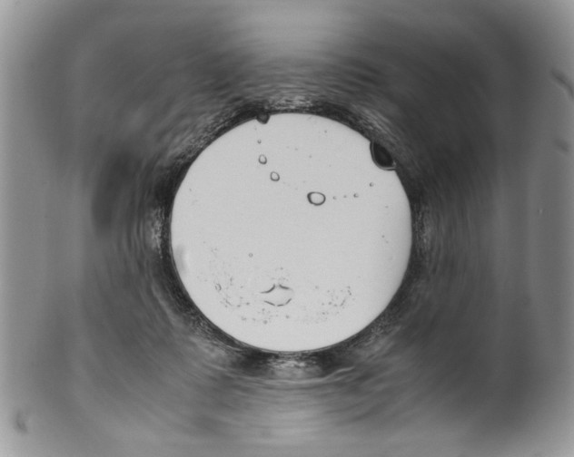 X0000099550315200806131218