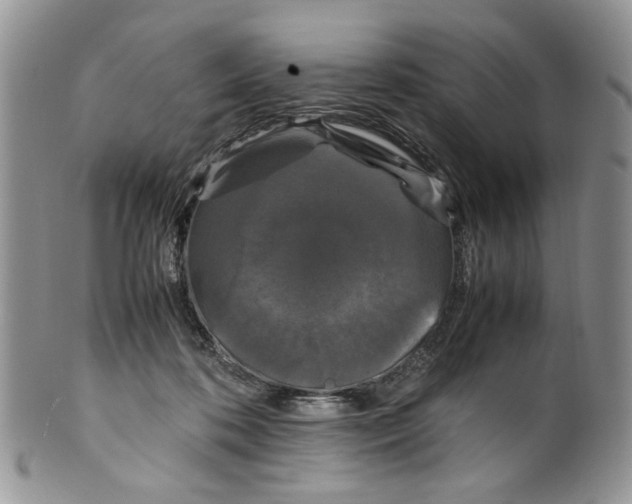 X0000099550316200806131218