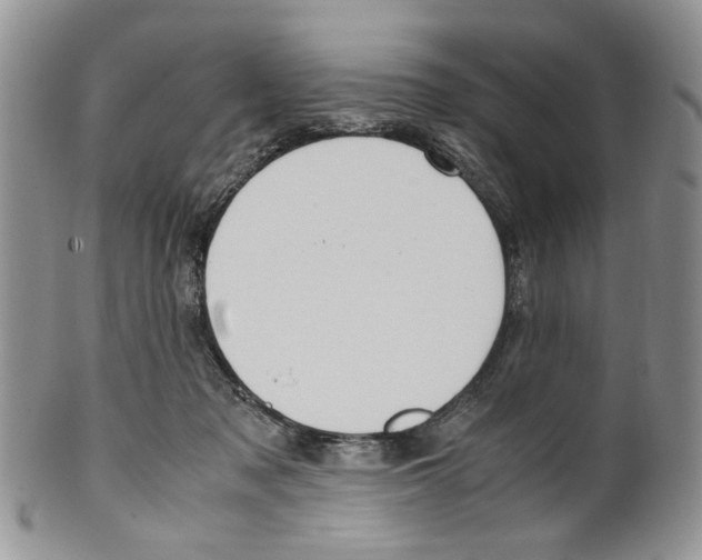 X0000099550317200806131218