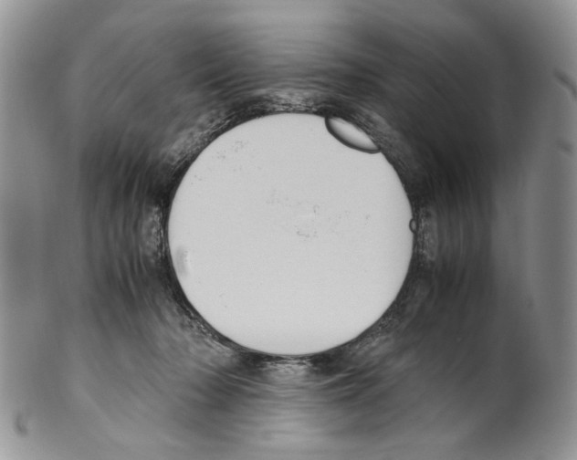 X0000099550318200806131218