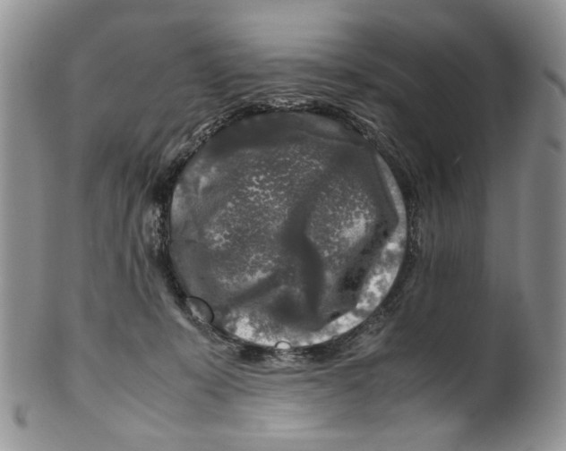 X0000099550319200806131218