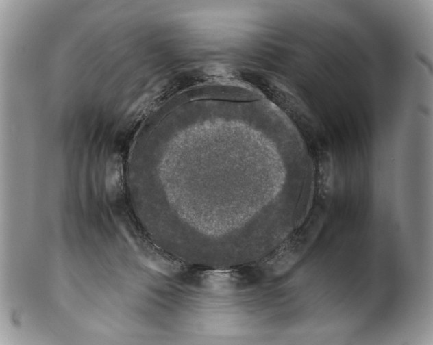 X0000099550320200806131218