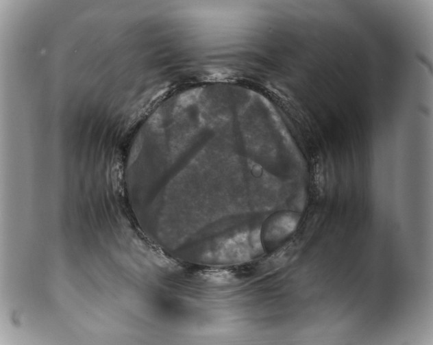 X0000099550322200806131218