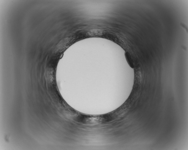 X0000099550323200806131218