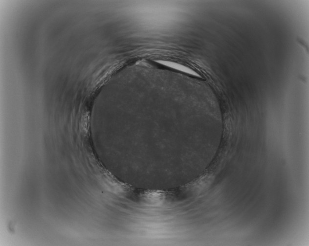 X0000099550325200806131218