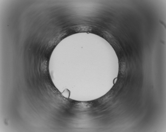 X0000099550326200806131218