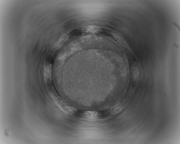 X0000099550328200806131218