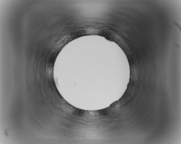 X0000099550329200806131217