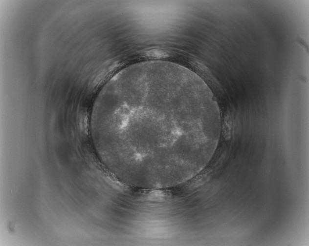 X0000099550330200806131217