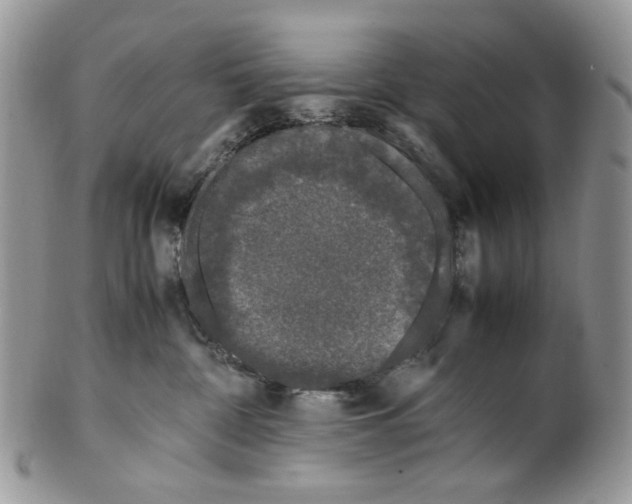 X0000099550332200806131217