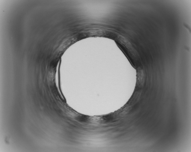 X0000099550333200806131217