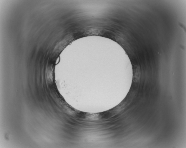 X0000099550334200806131217