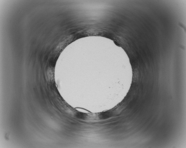 X0000099550335200806131217