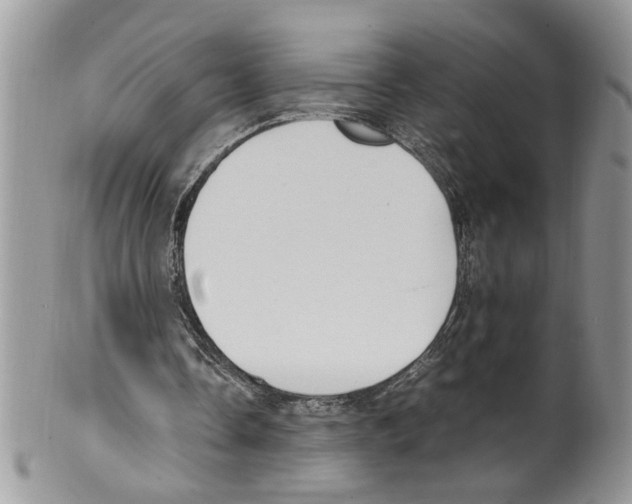 X0000099550338200806131217