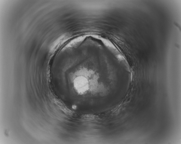 X0000099550339200806131217