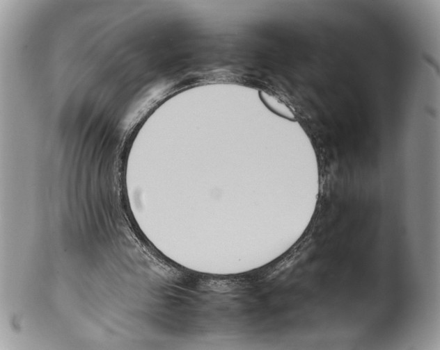 X0000099550341200806131217