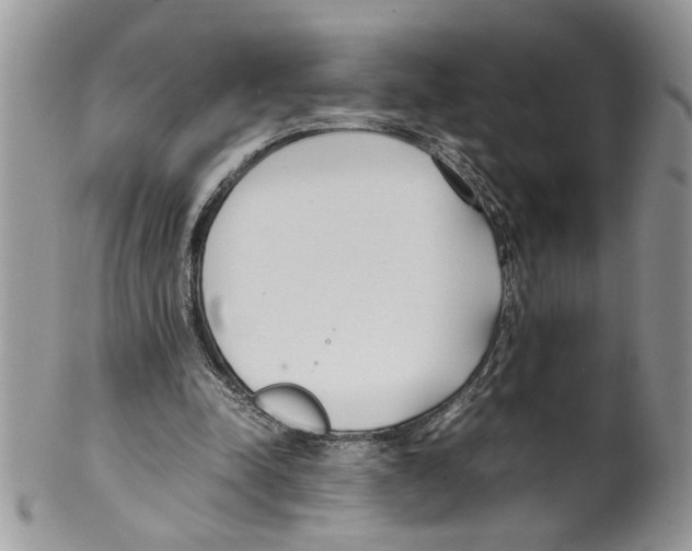 X0000099550342200806131217