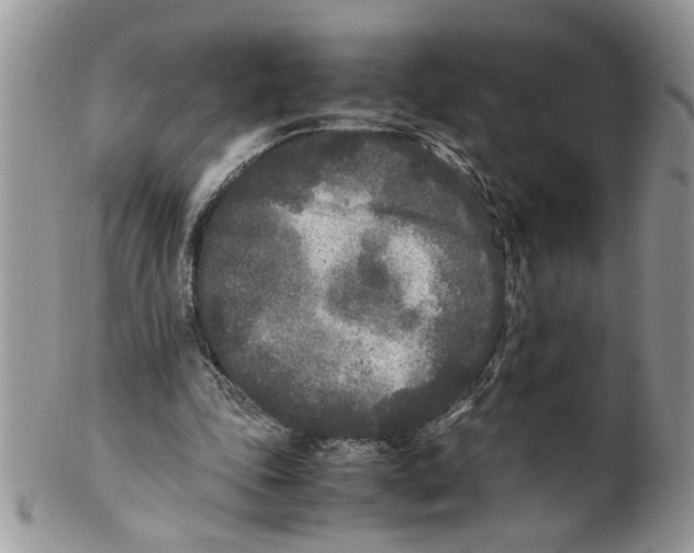 X0000099550343200806131217