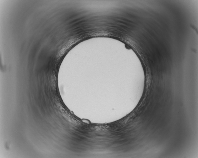 X0000099550345200806131217