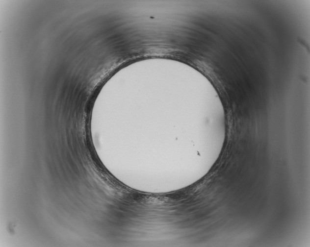 X0000099550346200806131217