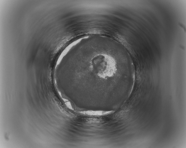 X0000099550347200806131217