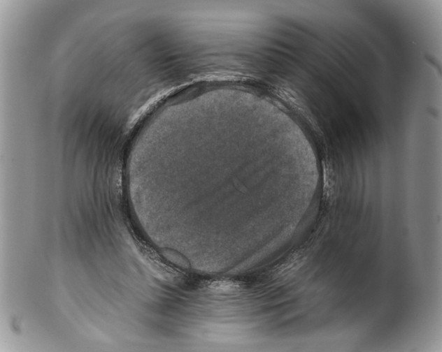 X0000099550348200806131217