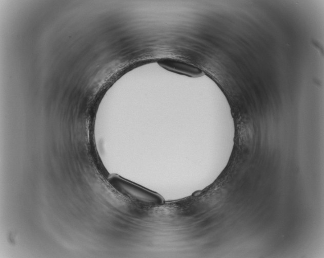 X0000099550350200806131217