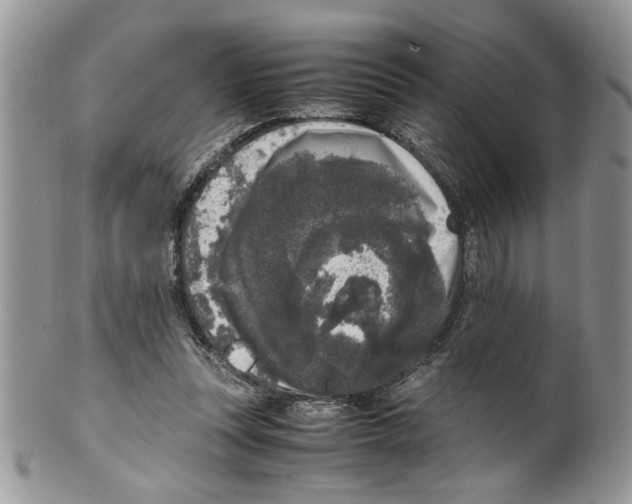 X0000099550351200806131217