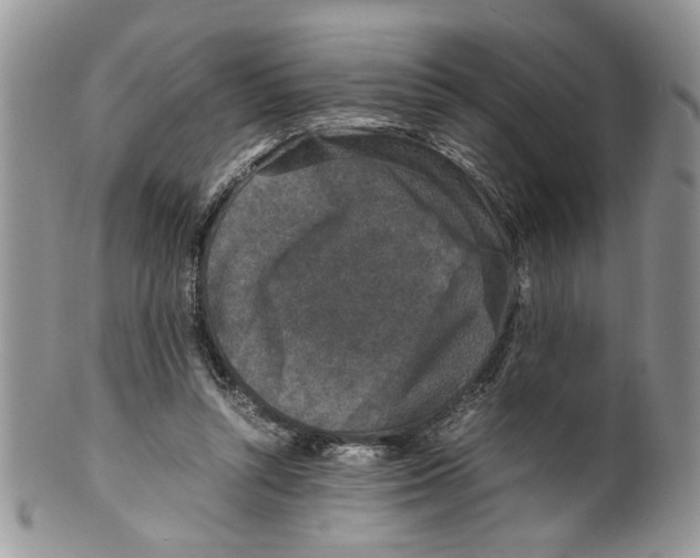 X0000099550352200806131217