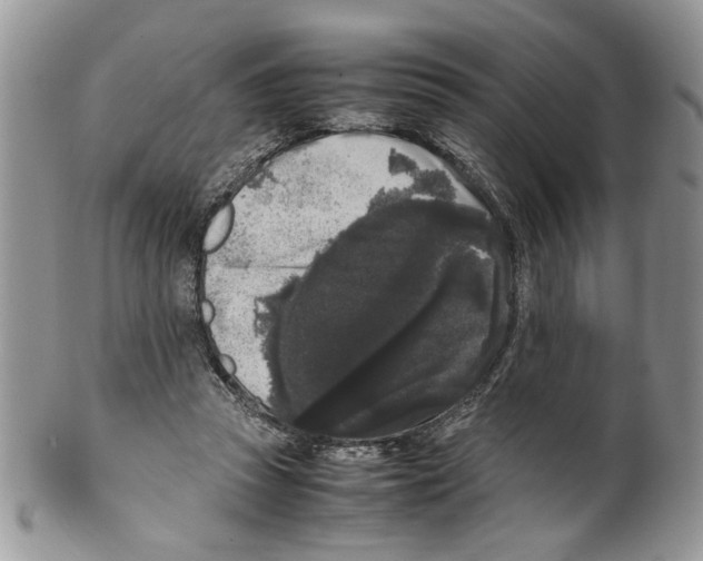 X0000099550353200806131217