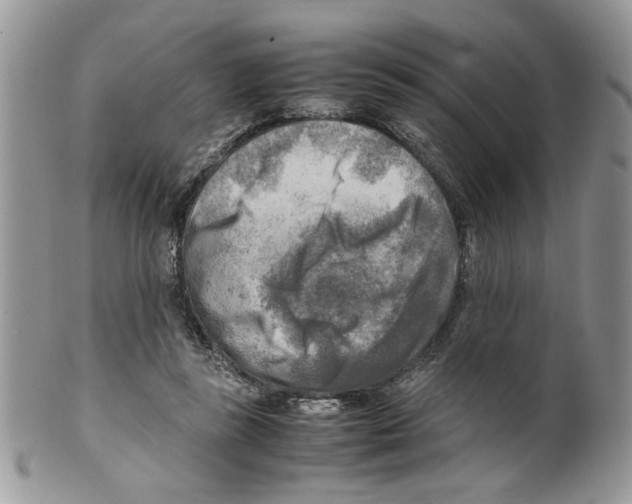 X0000099550355200806131217