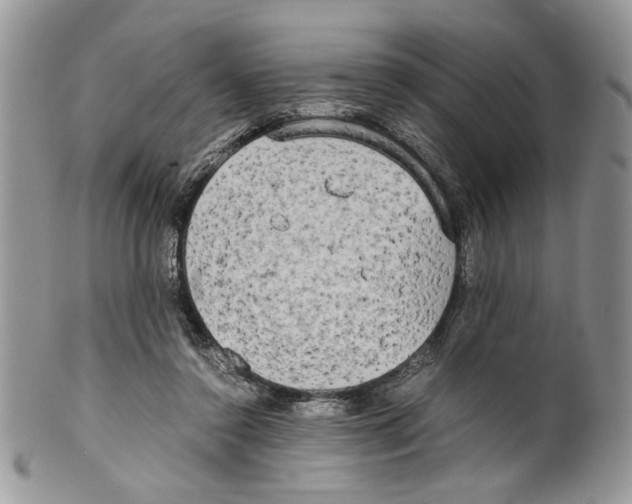 X0000099550356200806131217