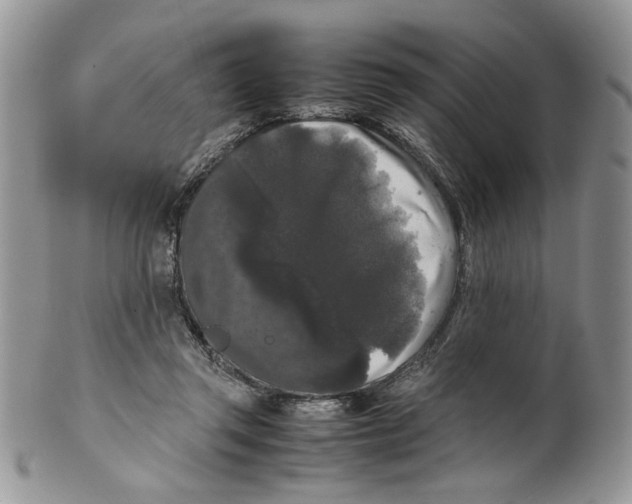 X0000099550357200806131217