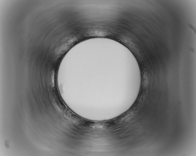 X0000099550358200806131217