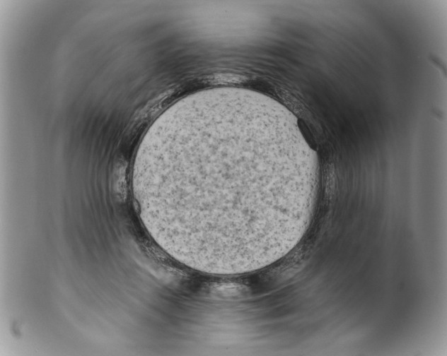 X0000099550360200806131217