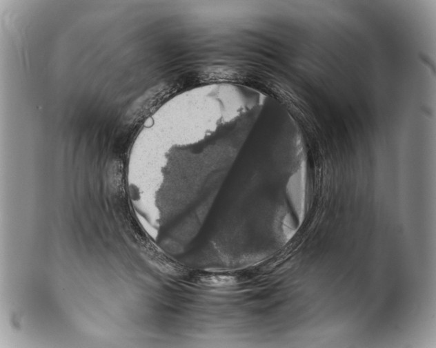 X0000099550361200806131217