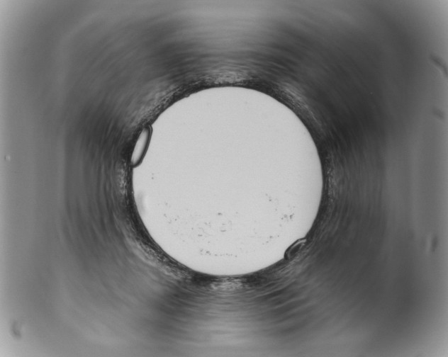 X0000099550362200806131217