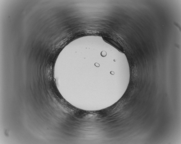 X0000099550364200806131217