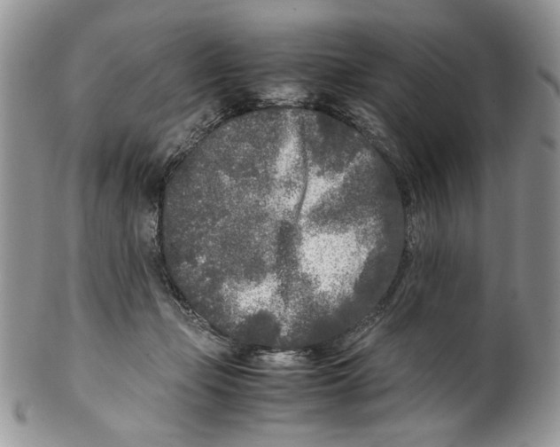 X0000099550365200806131217