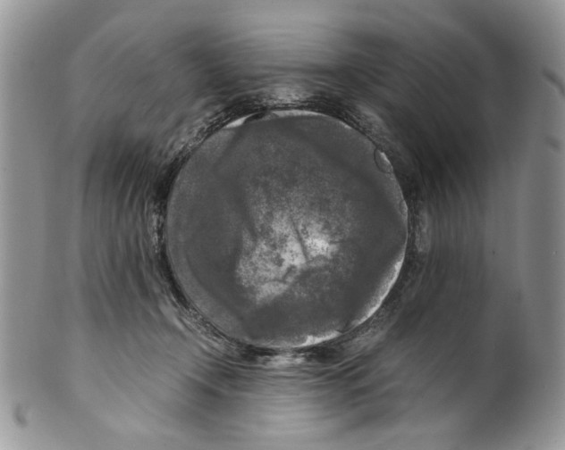 X0000099550366200806131217